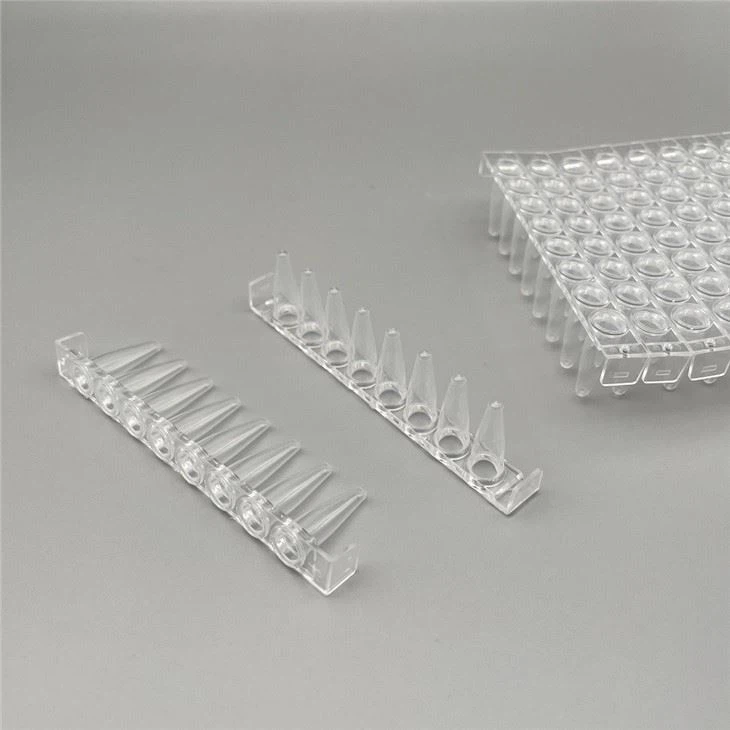 PCR Plate in China